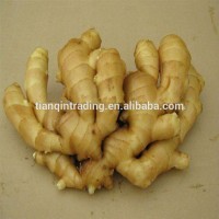 200g ginger/200g fresh ginger/200g china ginger