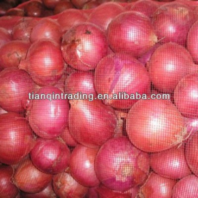 fresh onion for thailand