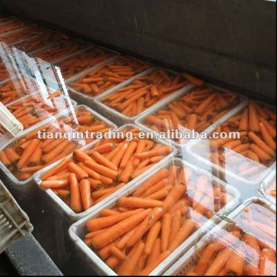 yellow carrot for sale