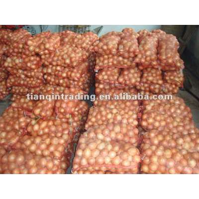 New Crop 2012 Red Shallot