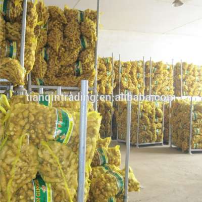 20kg bags ginger/20kg mesh bags ginger