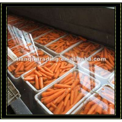 Organic Red Carrot